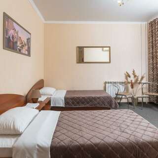 Гостиница Уютная Оренбург Двухместный-5