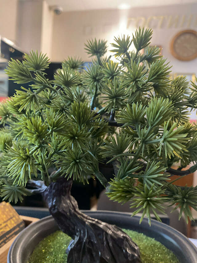 Гостиница Уютная Оренбург-146